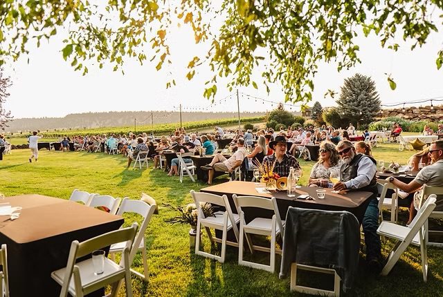 Guests enjoy an outdoor gathering under tree shade with vineyard views.