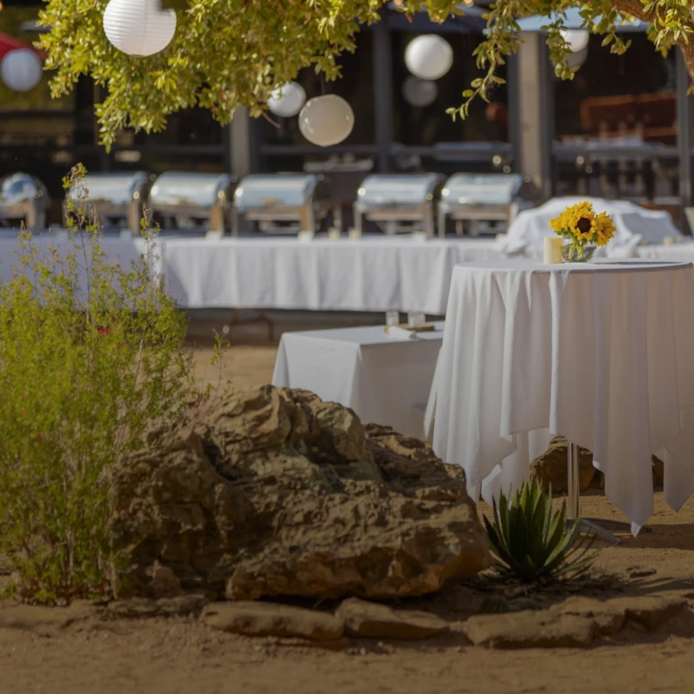 Sunlit table with sunflowers and greenery